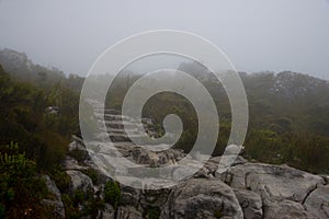 Foggy footpath on  table mountain, cape town, south africa