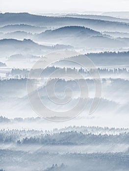 Foggy forest landscape in morning sun. Fantastic areial view