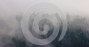 Foggy forest mountain lookout landscape, clouds moving