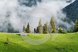 Foggy forest in the mountains. Landscape with field and mist. Landscape after rain. House on the field. A view for the background.