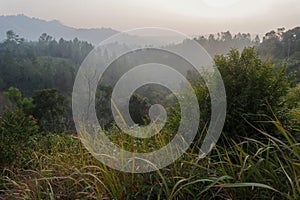 Foggy forest view with evening sunlight, smog in Indonesian tropical forest