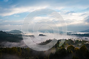 Foggy forests of Bohemian Switzerland, Czech republic