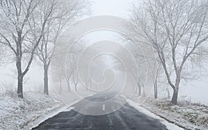 Foggy / frosty winter road with trees