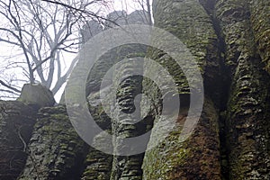 Foggy giant basalt organ pipes at Szent Gyorgy hill