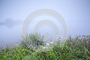 Foggy gloomy morning on river