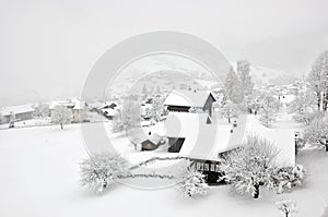 Foggy Grindelwald, Switzerland In Winter