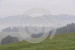 Foggy and hilly autumn landscape