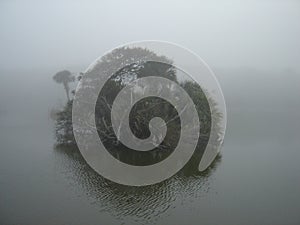 Foggy Island