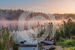 foggy lake landscape