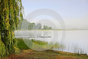 Foggy Lake Morning