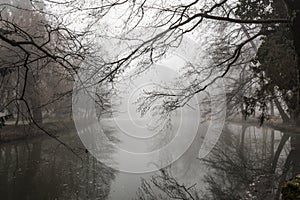 Foggy lake morning