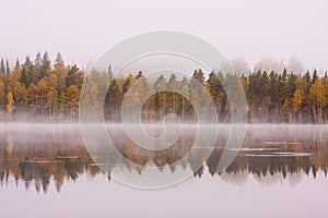 Foggy lake scape and vibrant autumn colors in trees