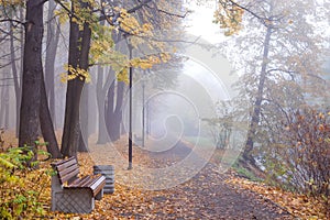 Foggy landscape. Autumn alley in city park at misty morning