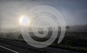 Foggy Landscape.Early Morning Mist. background of the sun