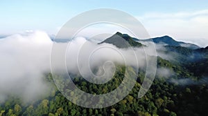 Foggy landscape in the jungle. fog and cloud mountain tropic valley landscape. aerial view. Generative AI