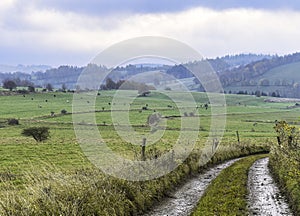 foggy landscape of Lower Silesia, the gluszyca area