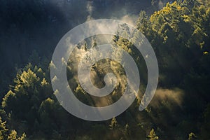 Foggy landscape. Misty morning in a valley of Bohemian Switzerland park. Landscape of Czech Republic