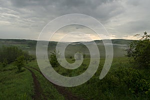 Foggy landscape in nature