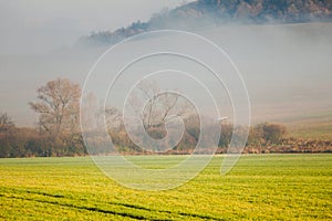 Zahmlená krajina hmla nad zelenou lúkou Slovensko