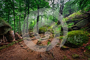 A foggy landscape of stairs from hellish Valley to Chojnik Castle in the Karkonosze Mountains. Poland photo