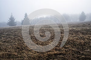 Foggy landscape, Strazov hill, Strazov Mountains, Slovakia