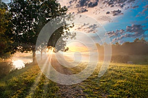 Foggy landscape at sunrise with sun behind tree crown and penetrating sun rays