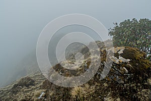 Foggy landscape view at the mountains