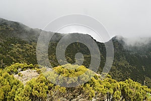 The foggy landscapes in the Aberdare Ranges on the flanks of Mount Kenya