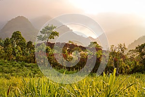 Foggy landscapes surrounding the small village of coffee growers in the highlands of Honduras. Central America photo