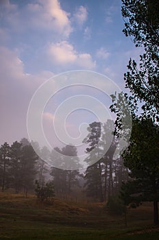 Foggy misty country landscape