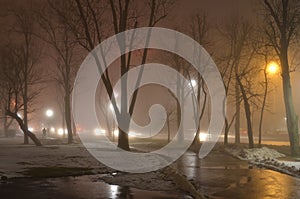 Foggy moist winter evening in the city. Empty cold winter evening in the city with bare tree trunks, electric lights, wet sidewalk