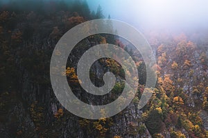 Foggy and moody scenery in the Vosges mountains, France. Colorful trees and rocky cliff landscape