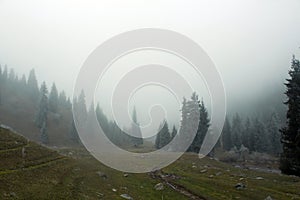 A foggy morning in Karkyra
