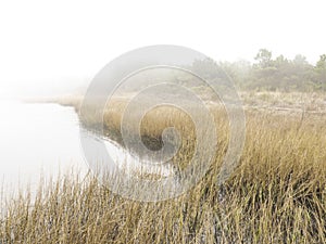 A Foggy Morning along Delaware`s Indian River