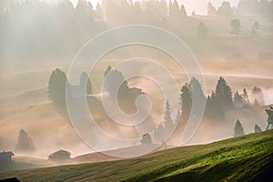 Foggy morning in Alpe di Siusi