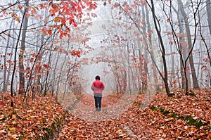 Foggy morning in the autumn forest. A woman in a red jacket walks down a forest path covered with fallen leaves