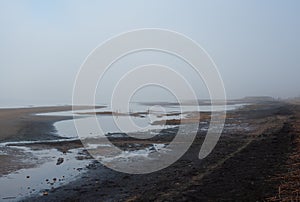 Foggy morning beach of the Finnish gulf