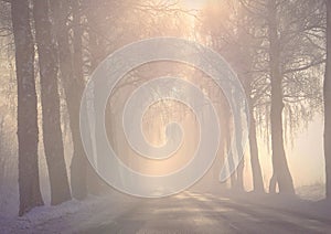 Foggy morning .Beautiful snowy road in Lithuania.