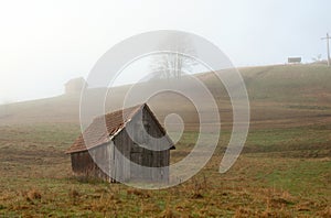 Foggy morning at Black Forest