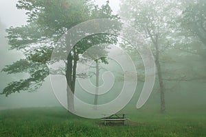 Foggy morning in blue ridge mountains picnic area