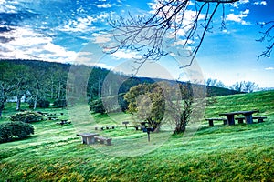 Foggy morning in blue ridge mountains picnic area