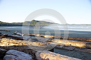 Foggy morning, blue sky, Cox Bay, Tofino, British Columbia, Canada