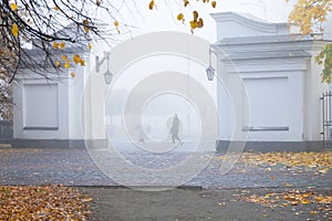 Foggy morning in a city. Young girl is walking with a dog in a park