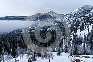 Foggy Morning in Colorado