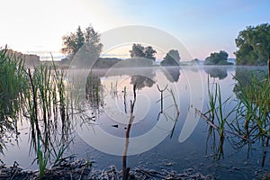 Foggy morning. Dawn outside the city. It will be a warm day. Morning fog on the lake