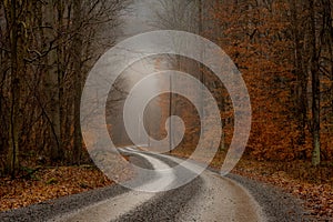 Foggy Morning Dirt Road in Mountains