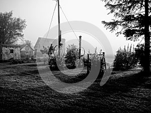 Foggy Morning on the Farm