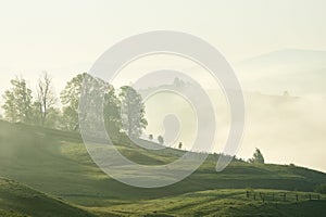 Foggy morning with forest and mountain silhouettes. Warm summer nature background.