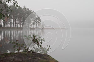Foggy morning. Forest picturesque lake