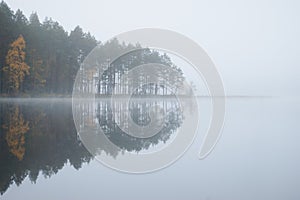 Foggy morning. Forest picturesque lake